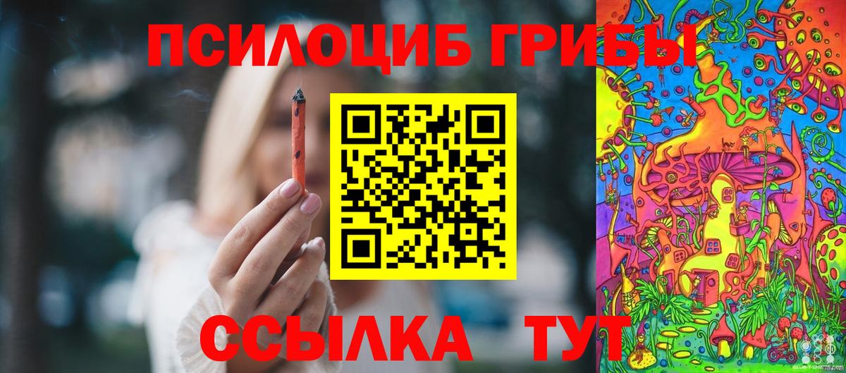 Псилоцибиновые грибы Cubensis Ирбит