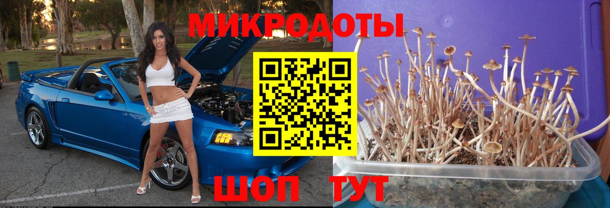 Галлюциногенные грибы мицелий  Псилоцибиновые грибы мухоморы  Ирбит  Вход с VPN 